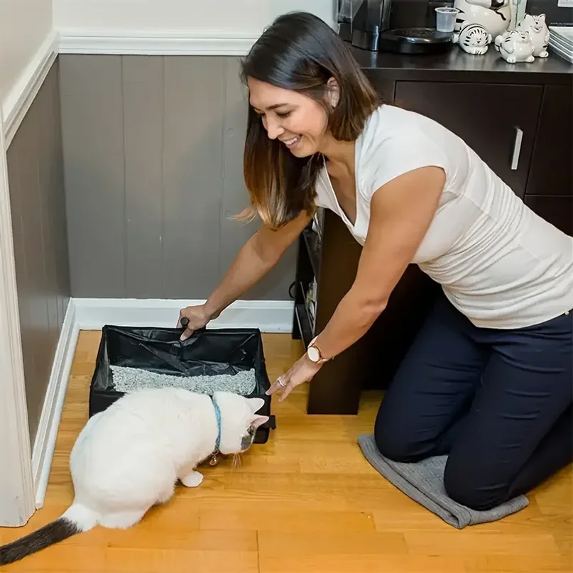 Bac à litière pliable imperméable pour chat – Image 2