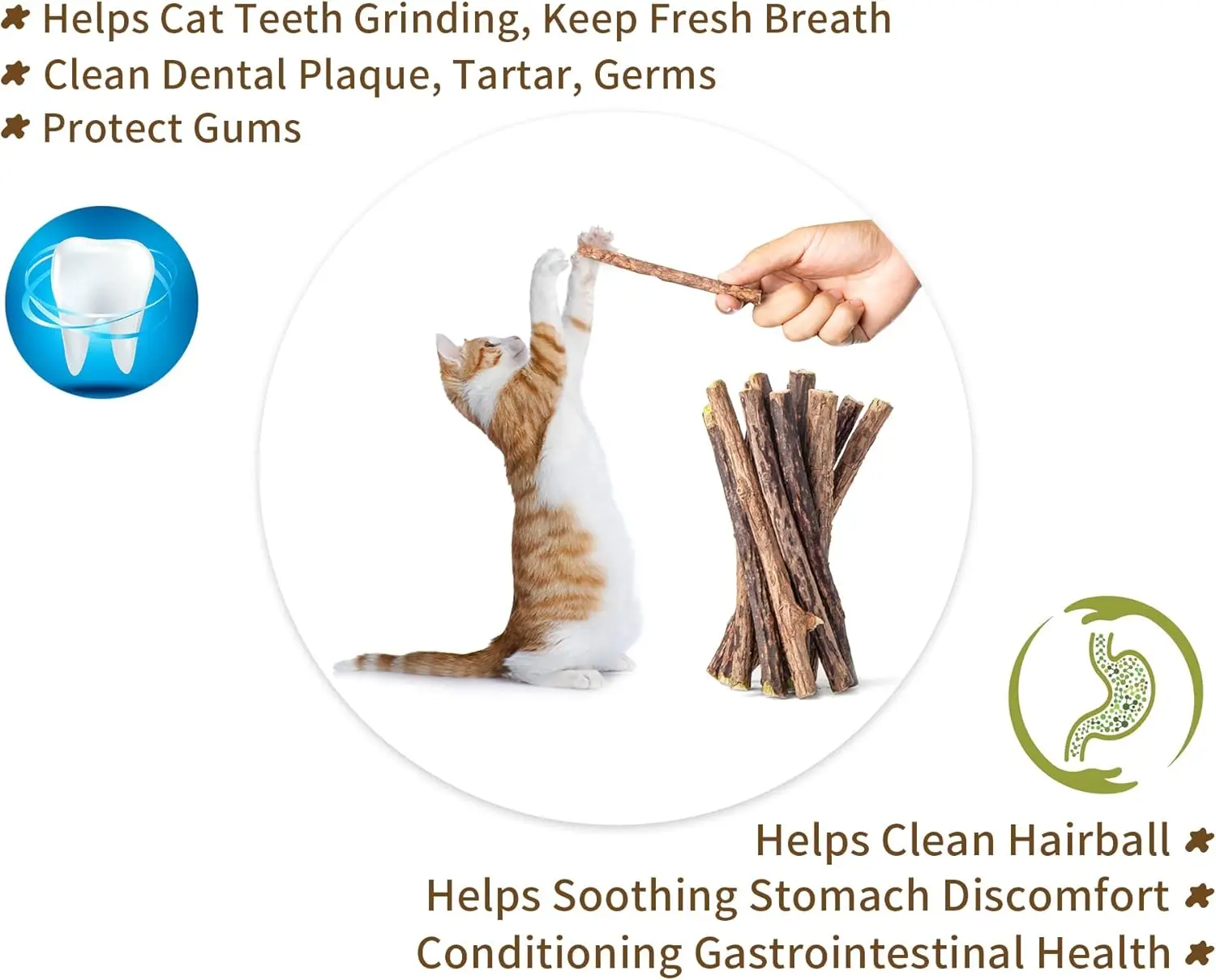 Bâtons de Silvervine naturels pour chats, jouets à mâche – Image 5