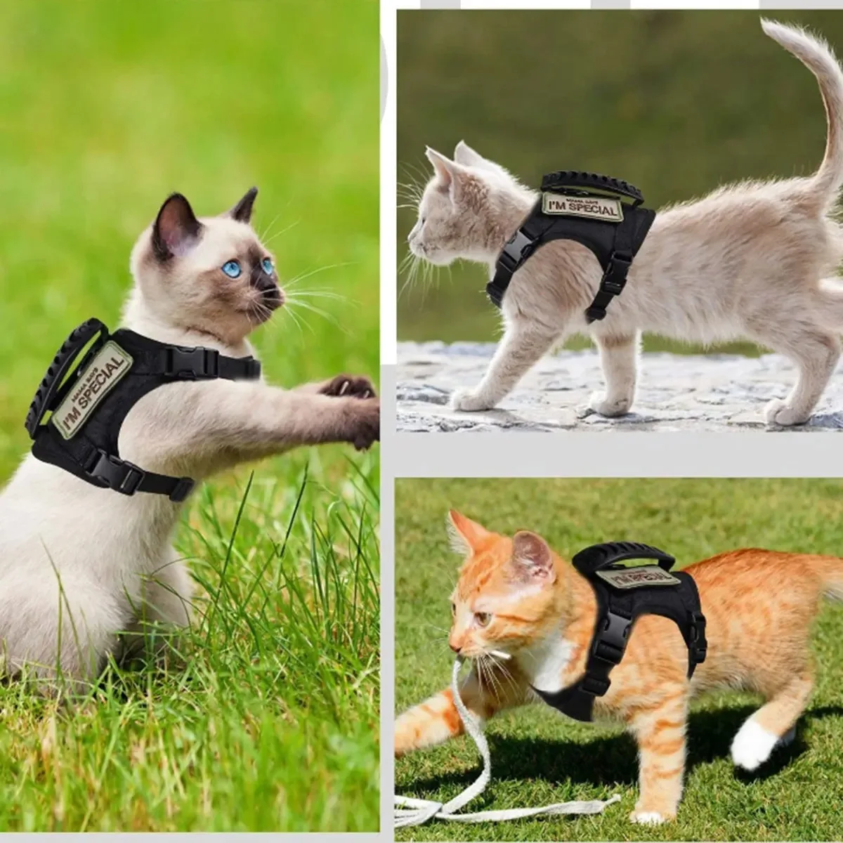 Harnais tactique pour chat, anti-évasion, réglable avec ou sans laisse – Image 6