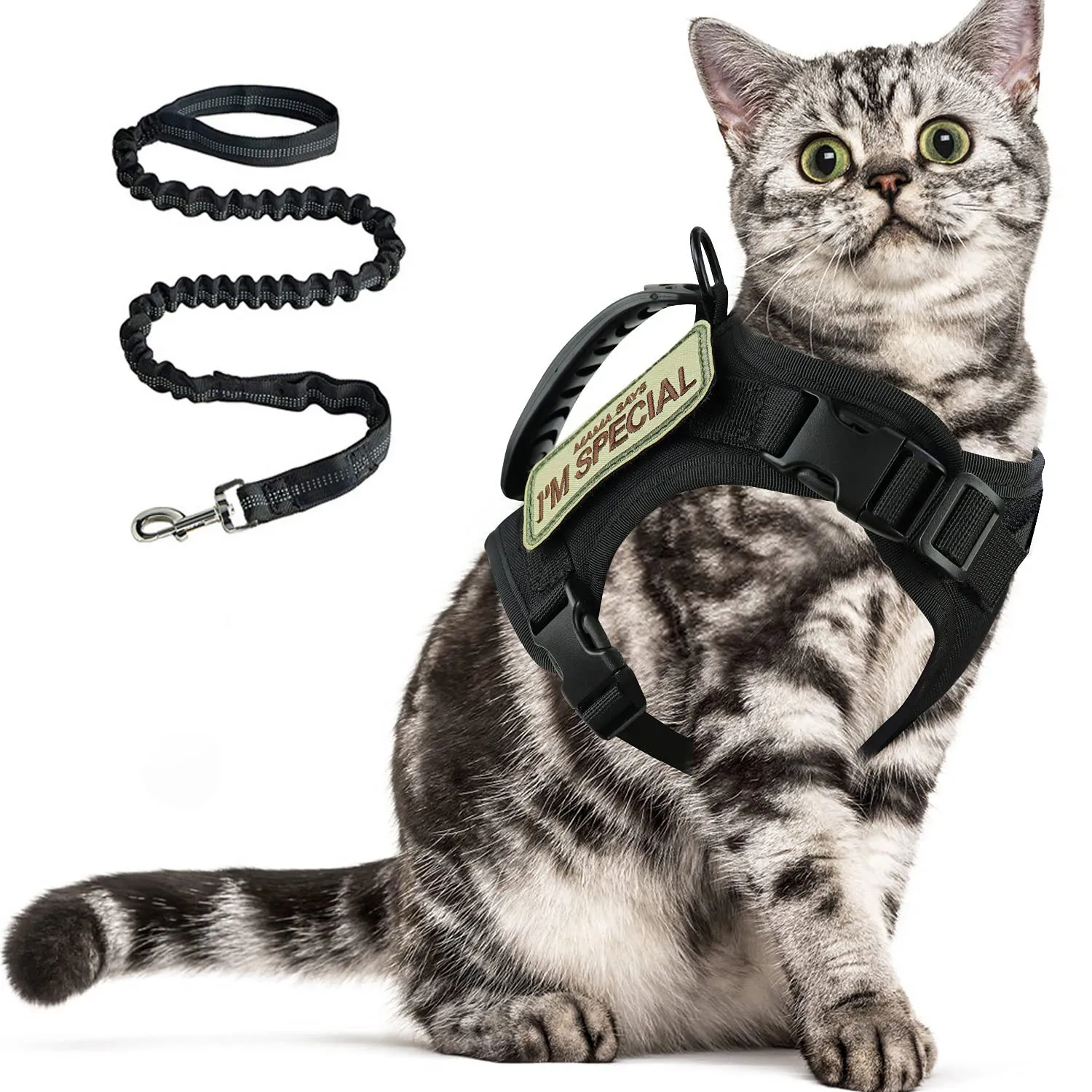 Harnais tactique pour chat, anti-évasion, réglable avec ou sans laisse