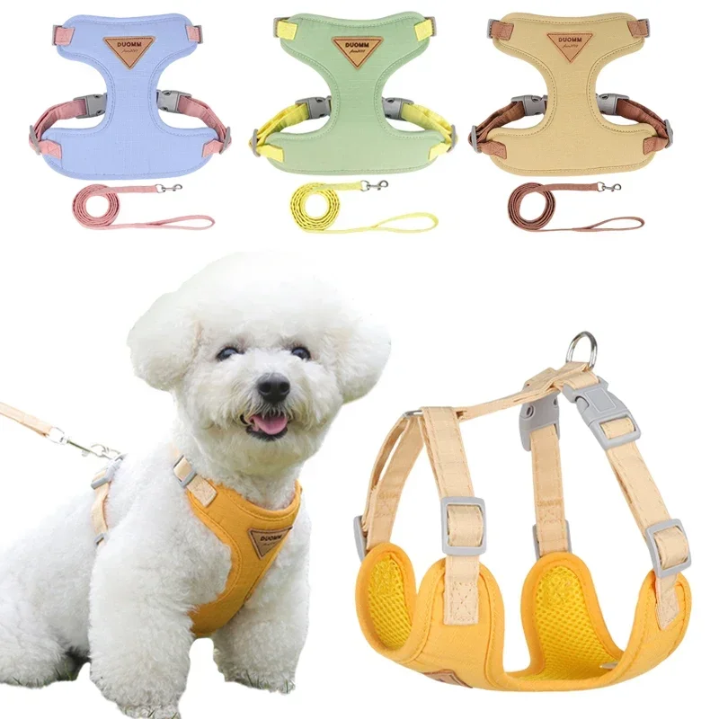 Ensemble de harnais et laisse pour chiot