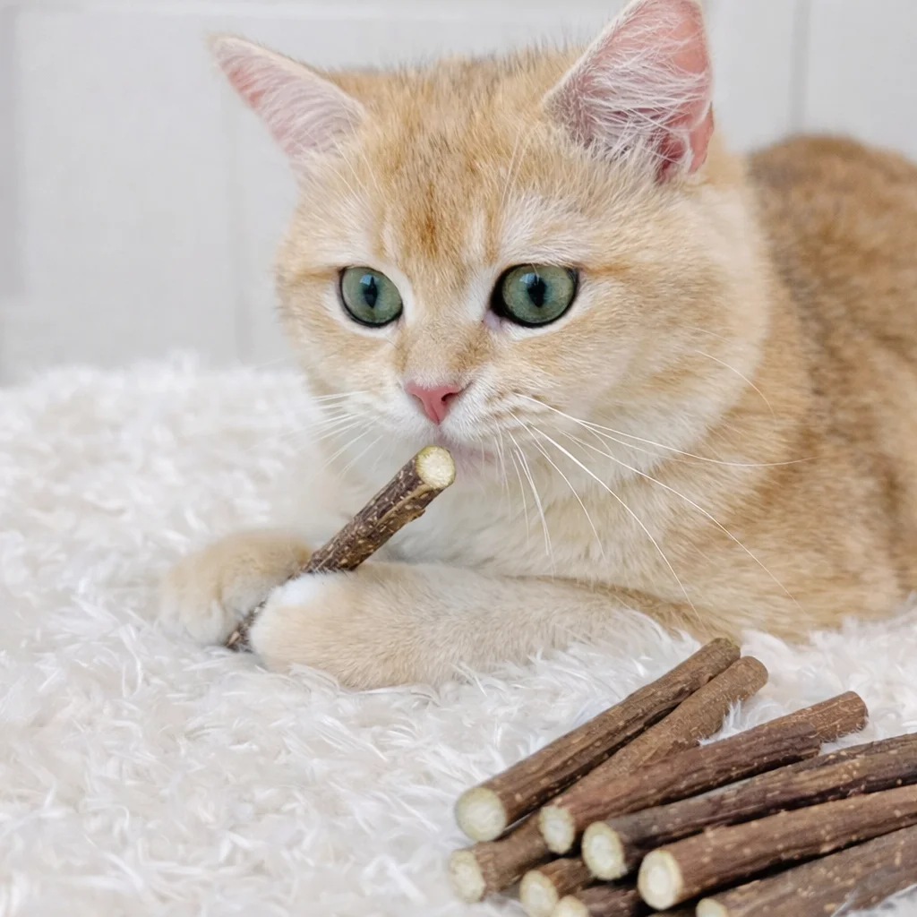 Bâtons de Silvervine naturels pour chats, jouets à mâche – Image 2