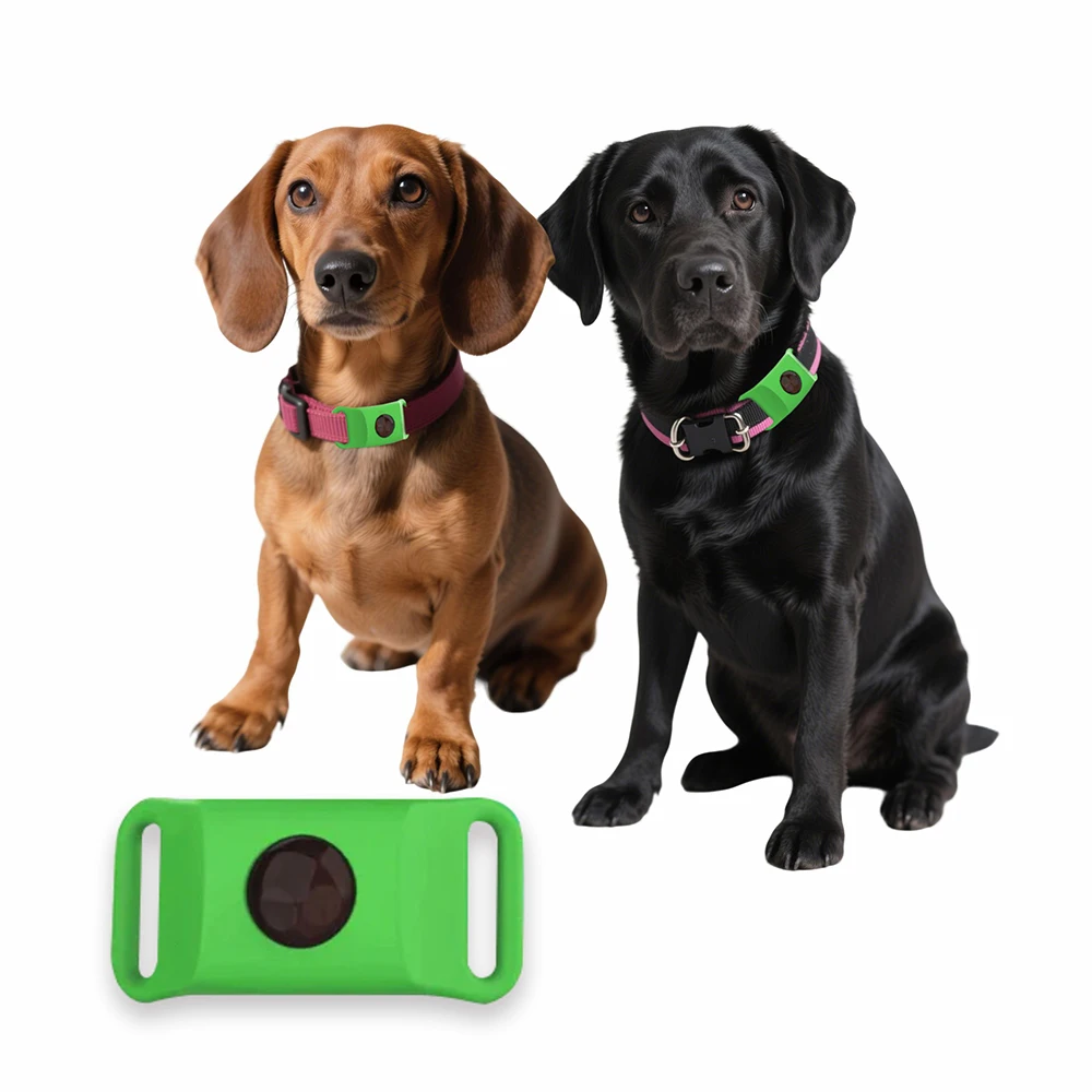 anti-puces/tiques Huiles essentielles suspendues naturelles pour chiens/chats, repousse parasites en sécurité – Image 8