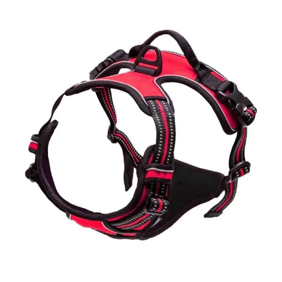 Dog Collars Harness Big Vests Leash Pet Shop Everything for Dogs Leather Puppy Accessories Medium Small Set – Image 9