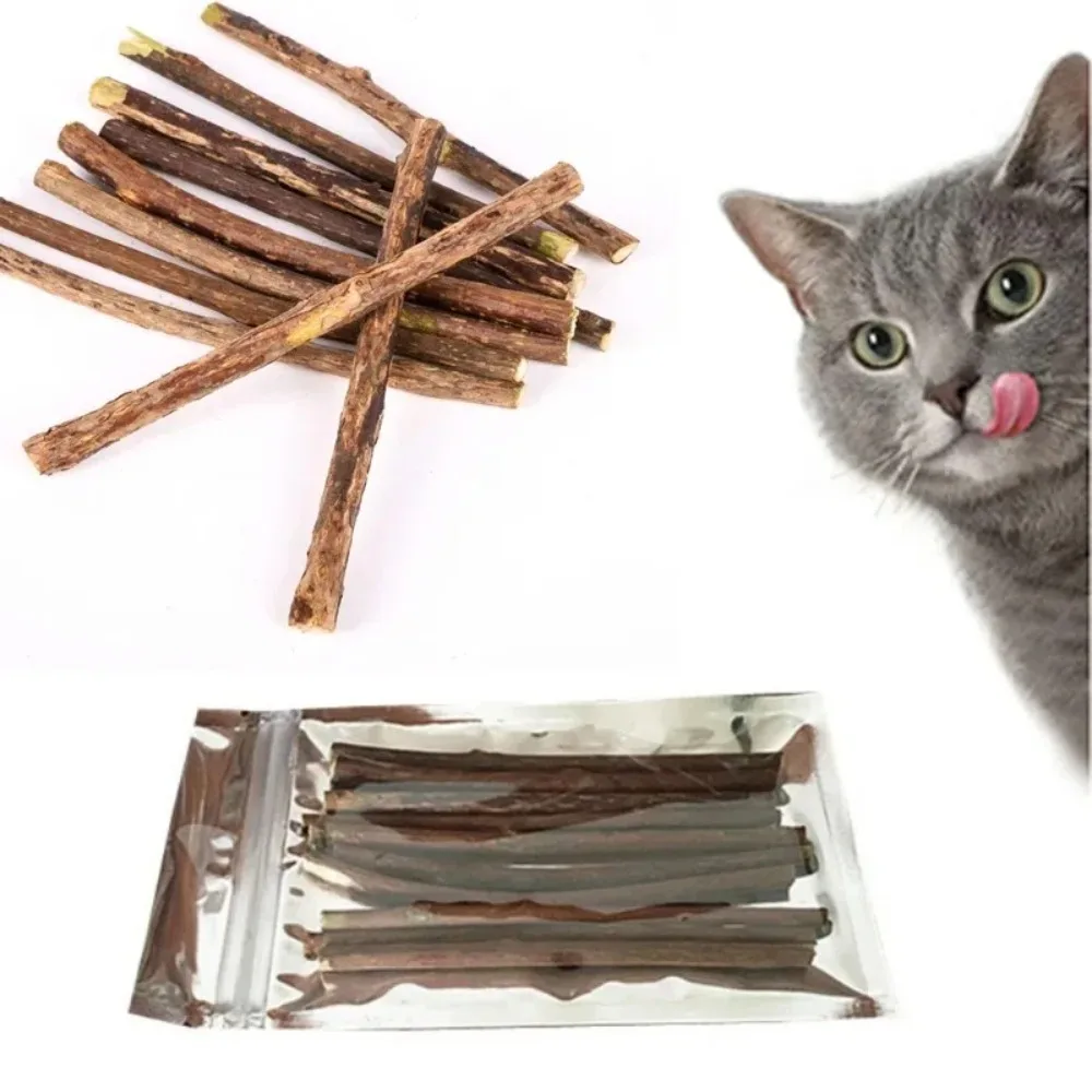 Bâtons de Silvervine naturels pour chats, jouets à mâche – Image 8
