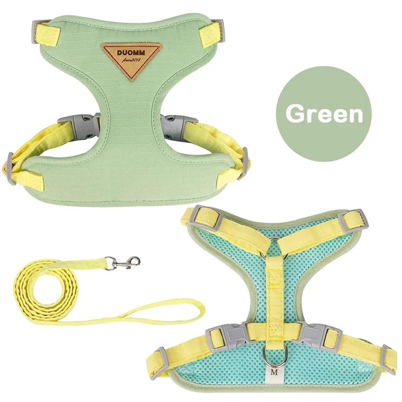 Ensemble de harnais et laisse pour chiot – Image 7