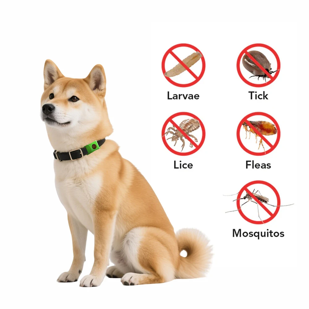anti-puces/tiques Huiles essentielles suspendues naturelles pour chiens/chats, repousse parasites en sécurité – Image 5