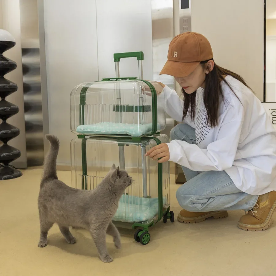 Valise/caisse de transport de chats/animaux pratique pour sortir, deux ou trois chats, valise pour chien ventilée
