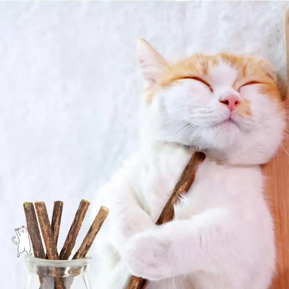 Bâtons de Silvervine naturels pour chats, jouets à mâche – Image 3