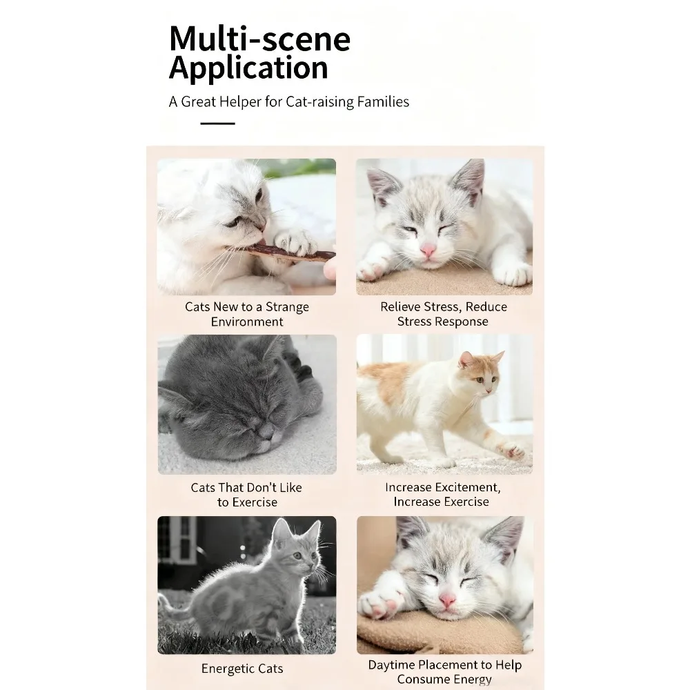 Bâtons de Silvervine naturels pour chats, jouets à mâche – Image 13