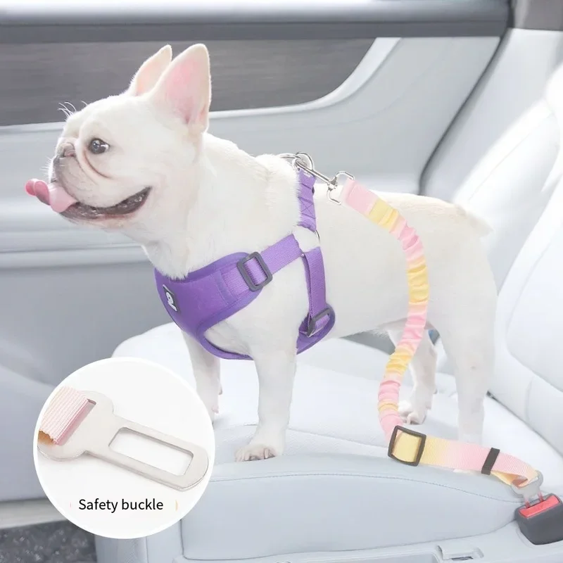 Ceinture de sécurité universelle pour chien – Image 4