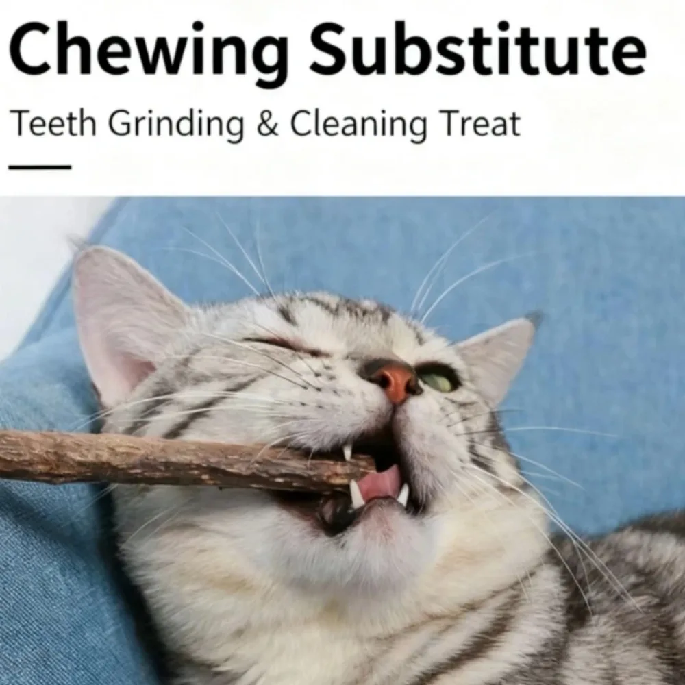 Bâtons de Silvervine naturels pour chats, jouets à mâche – Image 9