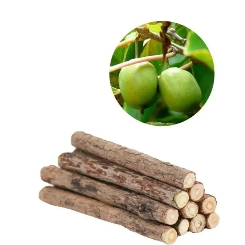 Bâtons de Silvervine naturels pour chats, jouets à mâche – Image 11