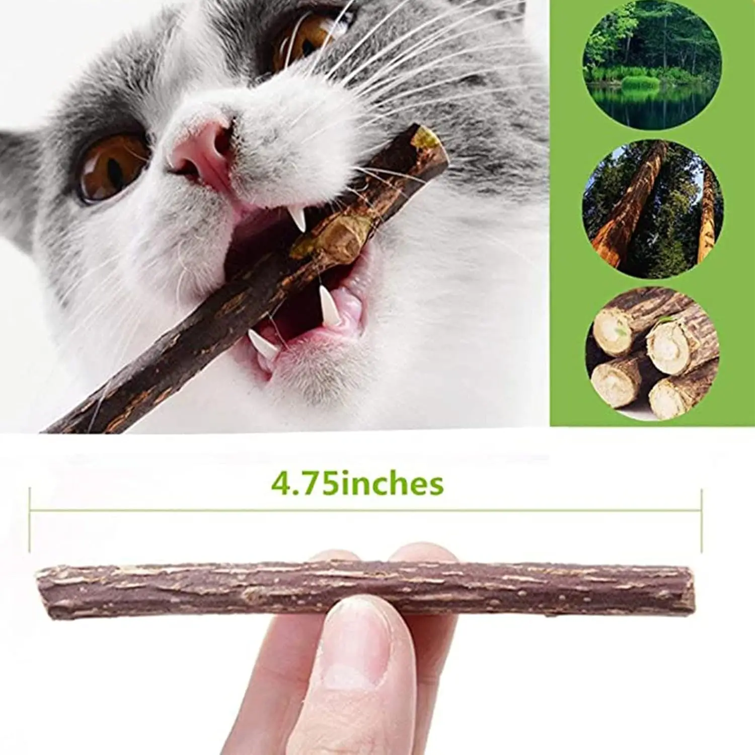 Bâtons de Silvervine naturels pour chats, jouets à mâche – Image 6