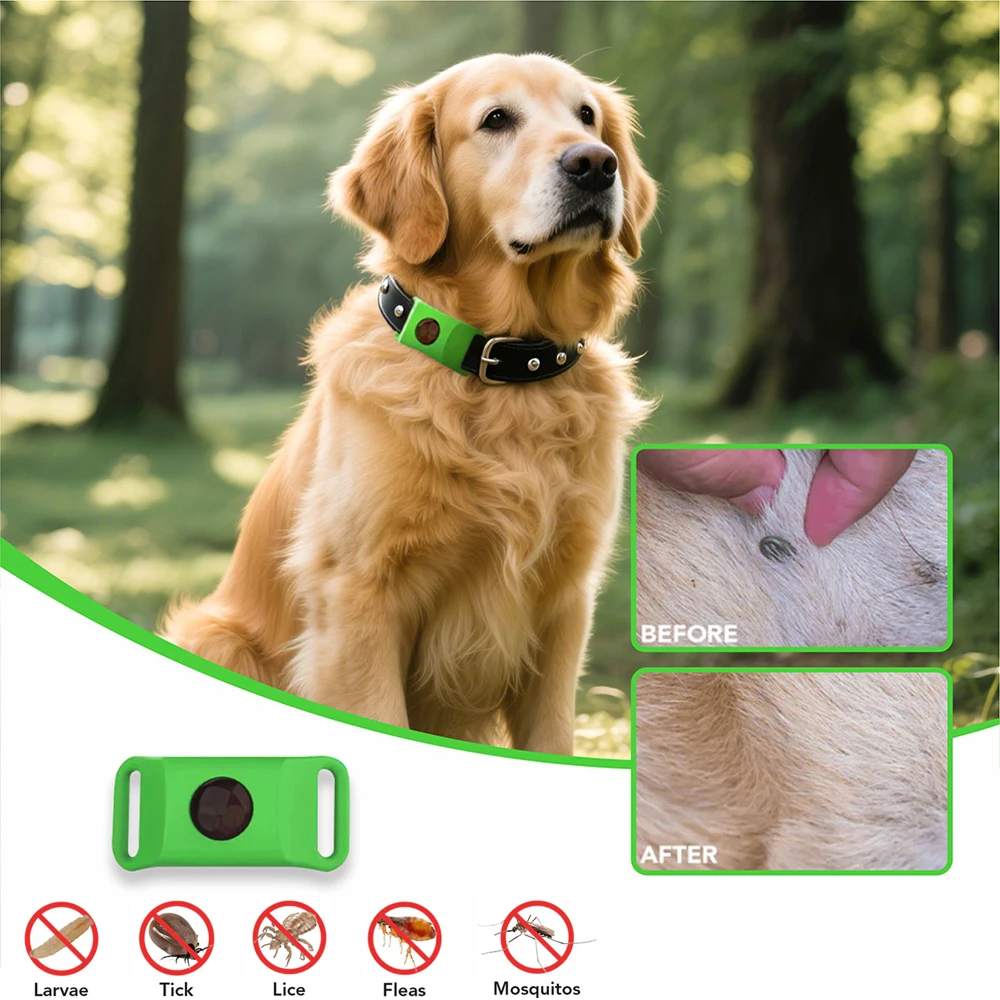 anti-puces/tiques Huiles essentielles suspendues naturelles pour chiens/chats, repousse parasites en sécurité