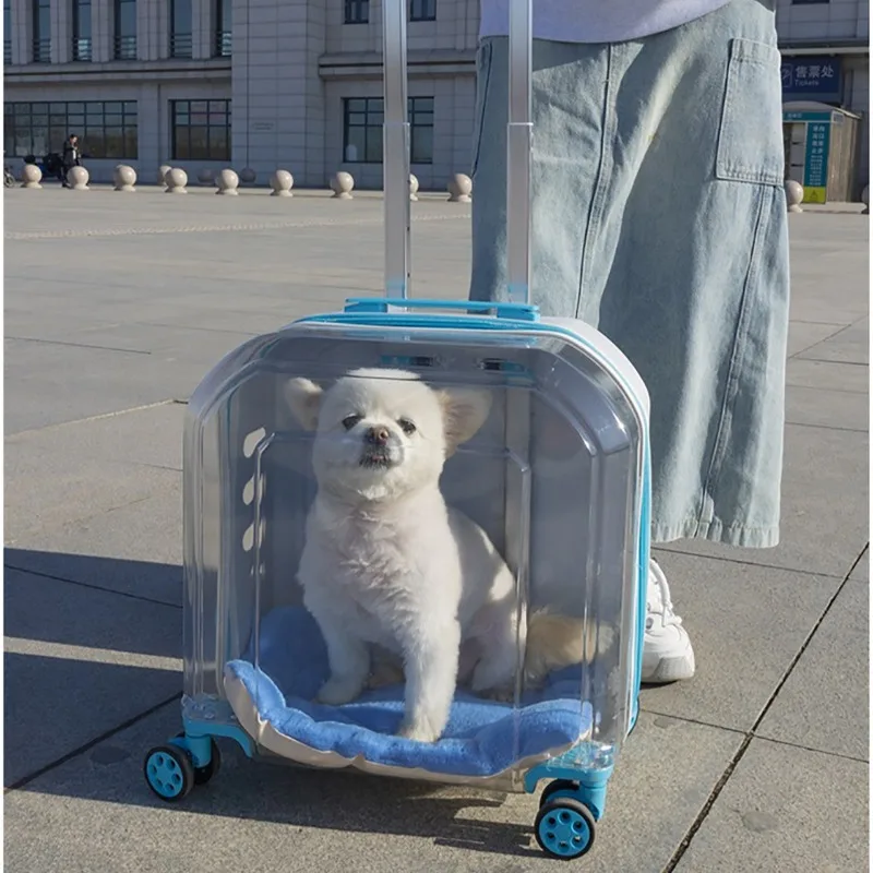 Poussette pliable transparente à 4 roues pour animaux de compagnie, poussette de voyage légère pour chats et chiots – Image 4