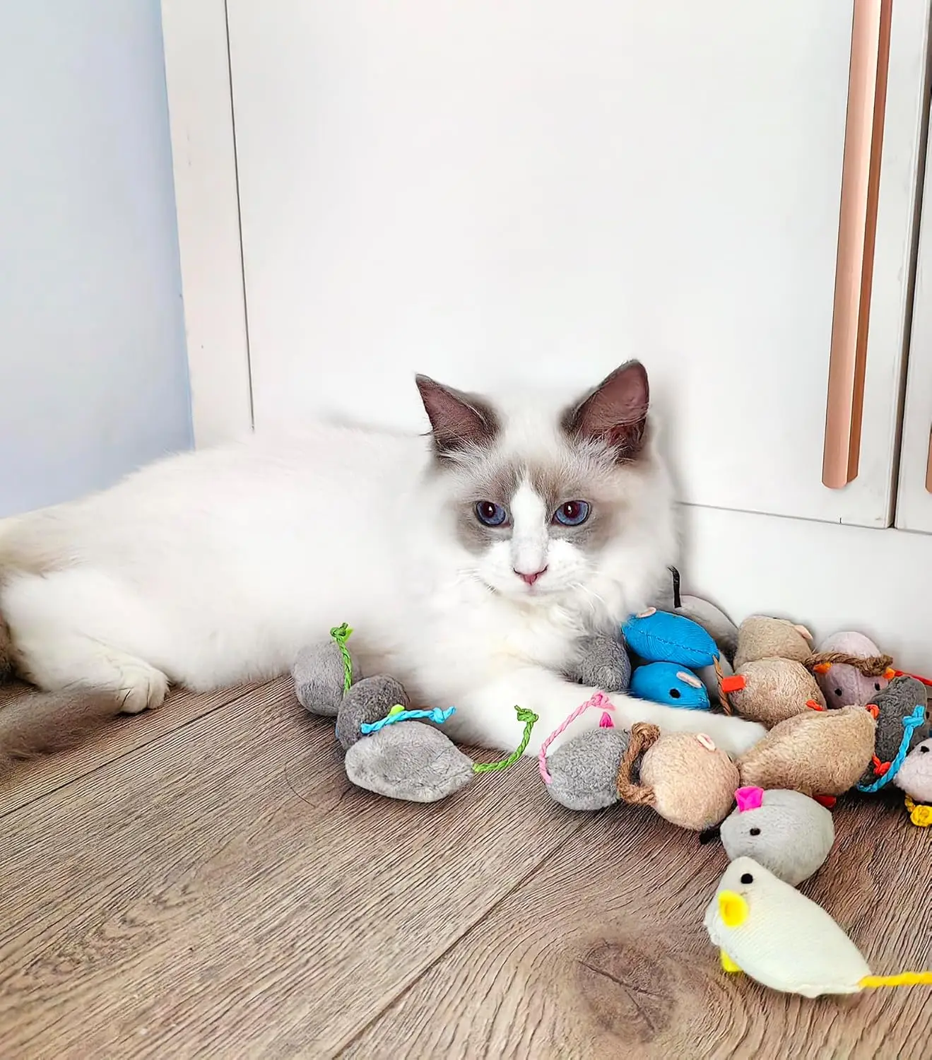 3/200 pièces hochet chat souris jouets également préfabriqués herbe-aux-chats fausse fourrure chat souris – Image 4