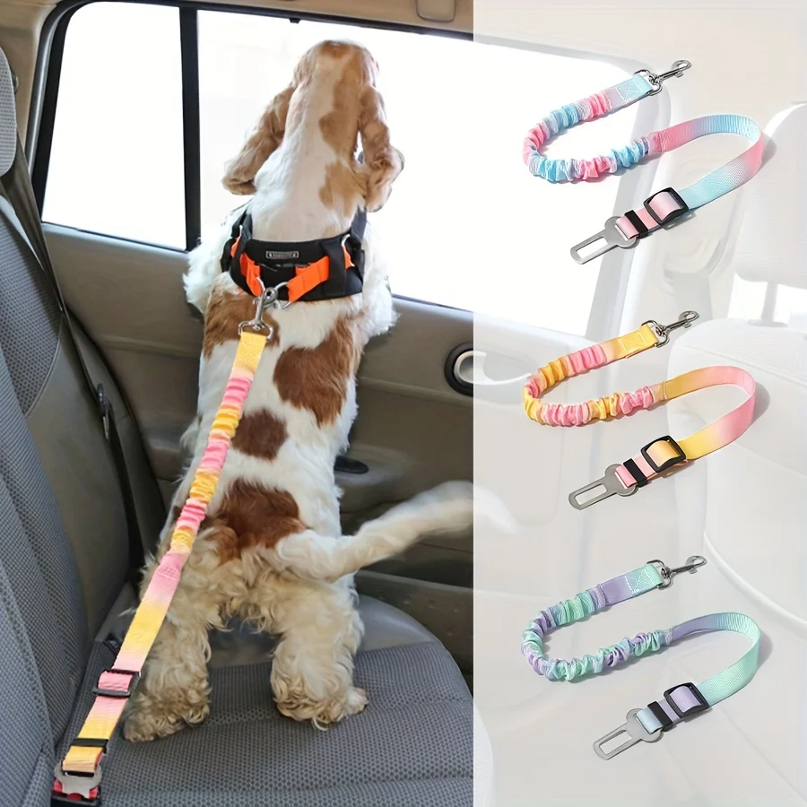 Ceinture de sécurité universelle pour chien