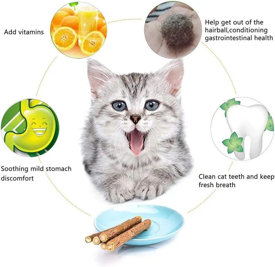 Bâtons de Silvervine naturels pour chats, jouets à mâche – Image 4