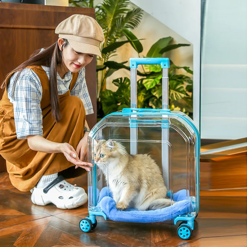 valise/caisse de transport, grande capacité, respirante pour animaux de compagnie, chats et chiens