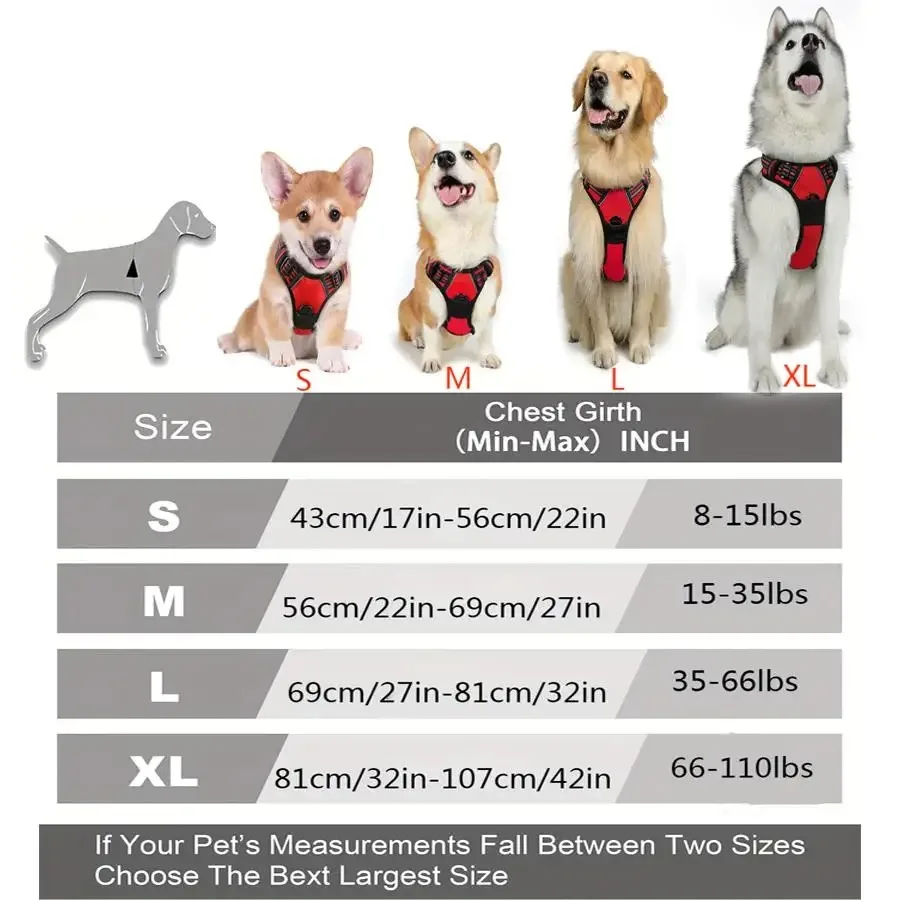 Harnais pour animaux de compagnie toute taille – Image 7