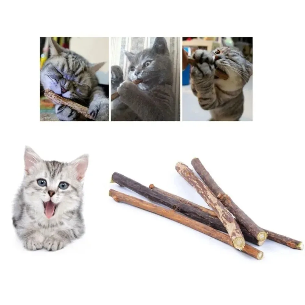 Bâtons de Silvervine naturels pour chats, jouets à mâche – Image 12
