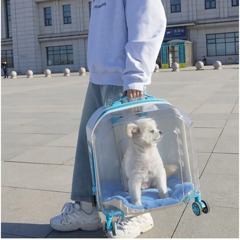 Poussette pliable transparente à 4 roues pour animaux de compagnie, poussette de voyage légère pour chats et chiots – Image 6