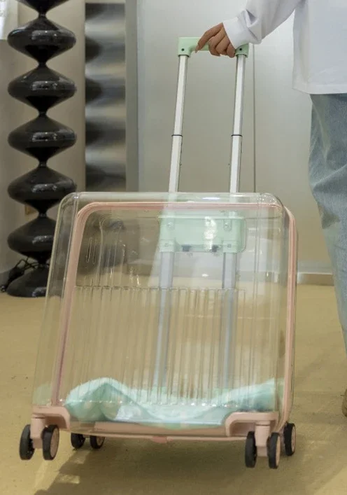 Valise/caisse de transport de chats/animaux pratique pour sortir, deux ou trois chats, valise pour chien ventilée – Image 7