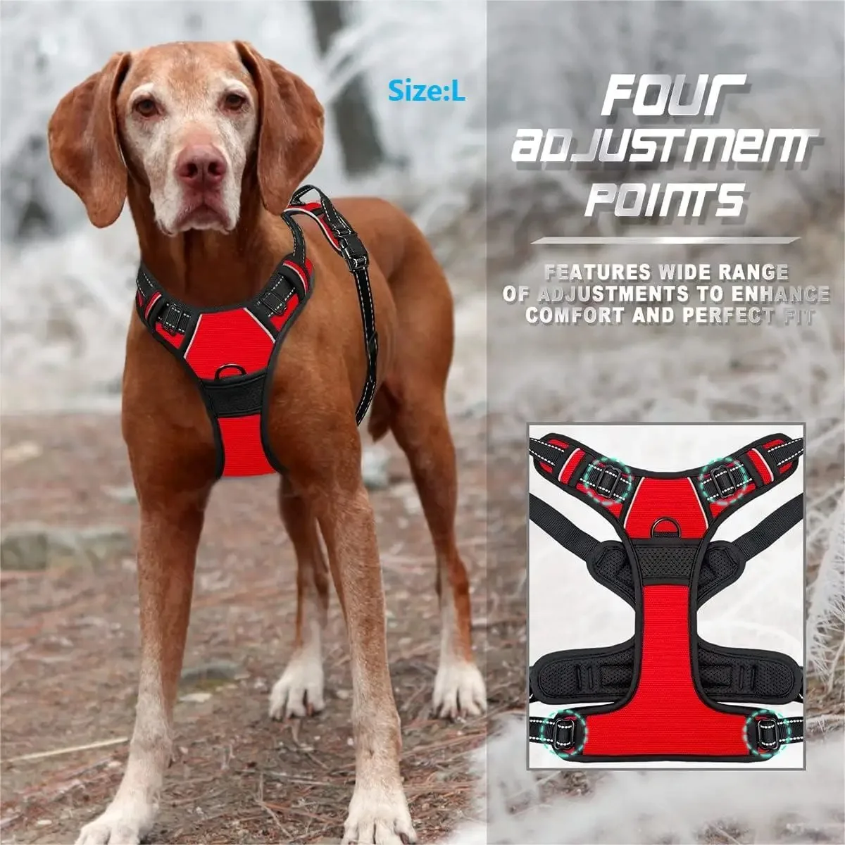 Harnais pour animaux de compagnie toute taille – Image 3