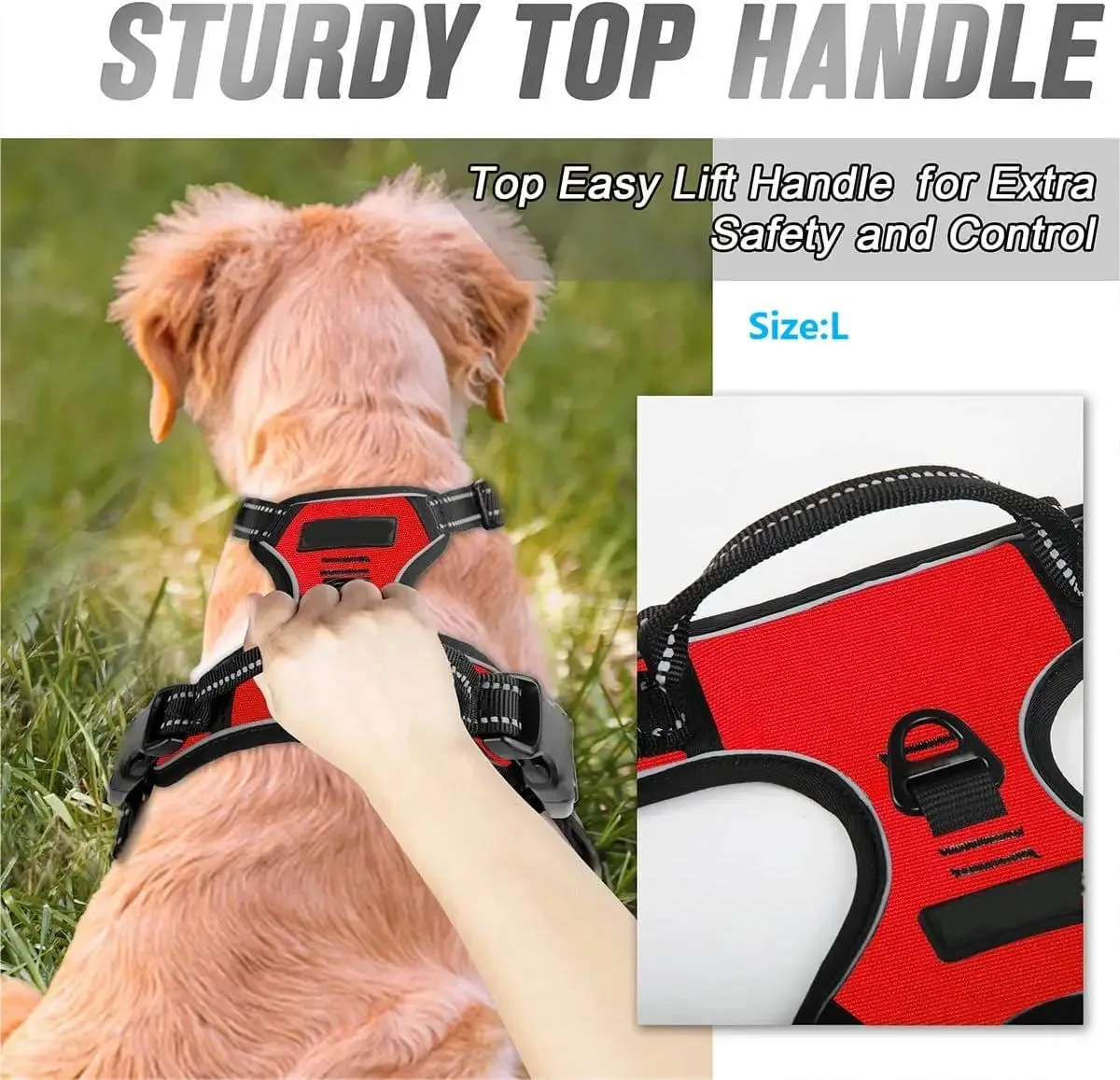Dog Collars Harness Big Vests Leash Pet Shop Everything for Dogs Leather Puppy Accessories Medium Small Set – Image 4