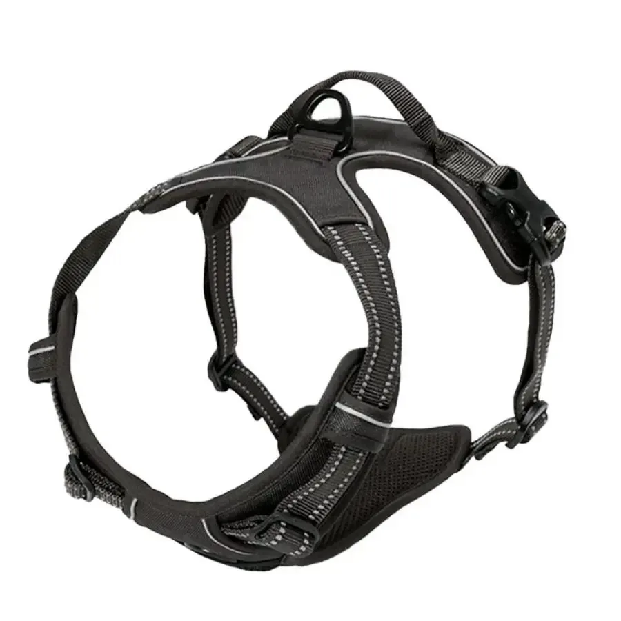 Harnais pour animaux de compagnie toute taille